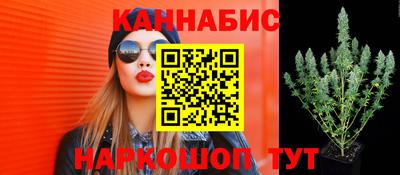 трава Заводоуковск