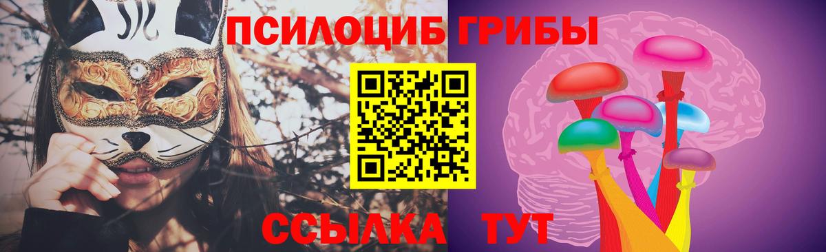 Людиново  Псилоцибиновые грибы MAGIC MUSHROOMS  Галлюциногенные грибы Psilocybe  закладка  Вход с VPN 
